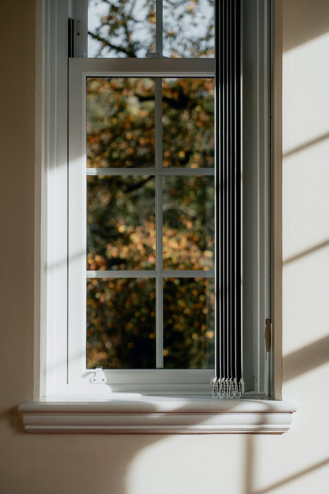 White sliding sash window with Georgian glazing bars dividing the panes into a grid, sunlit interior